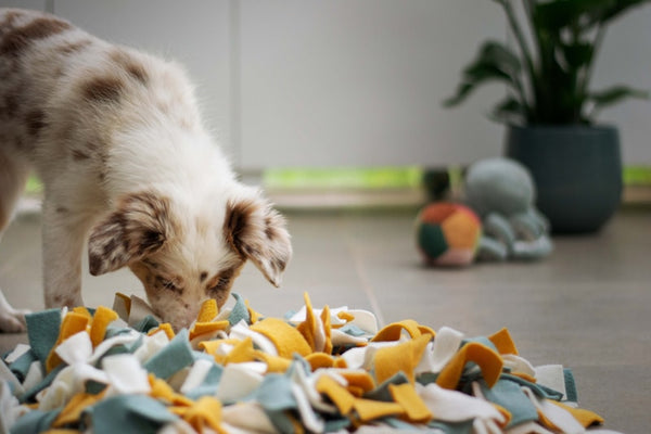Snuffle mats explained